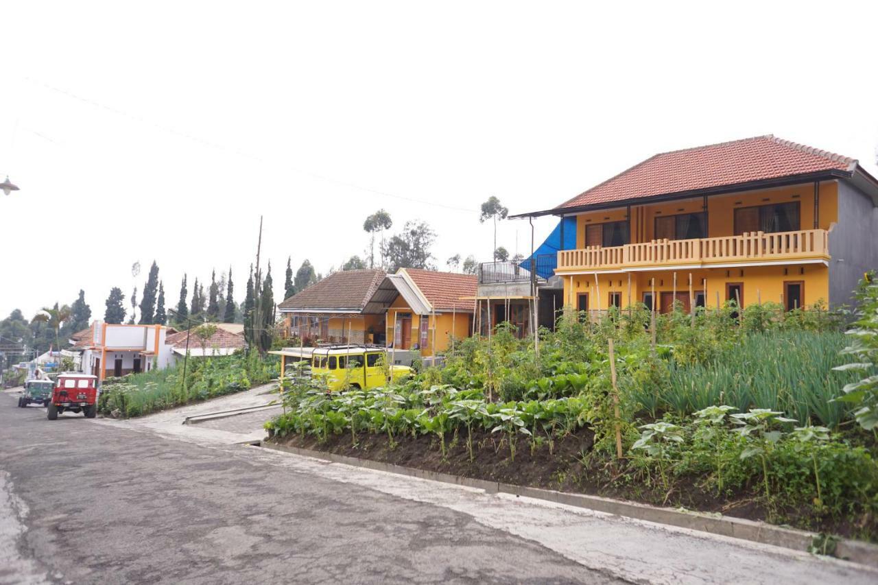 Homestay Lereng Бромо Экстерьер фото