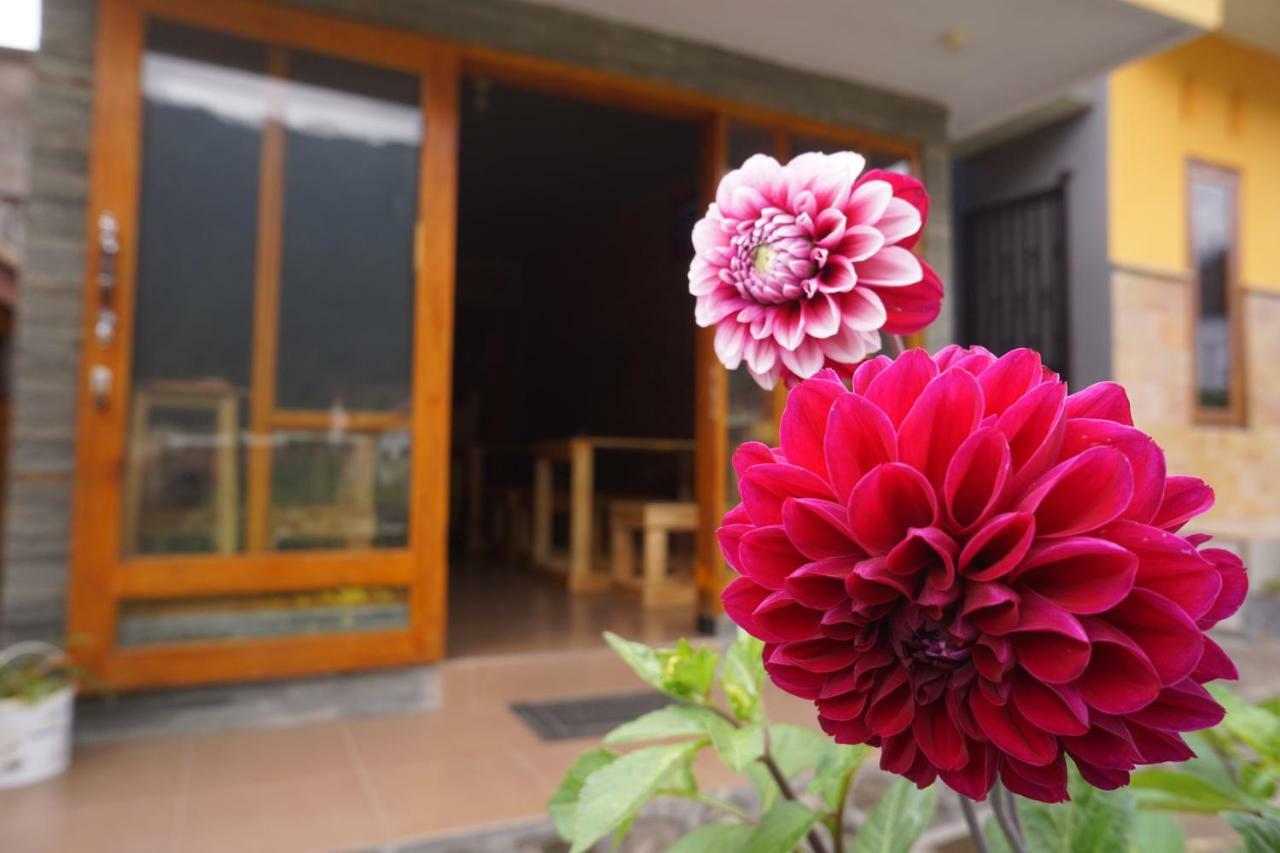 Homestay Lereng Бромо Экстерьер фото